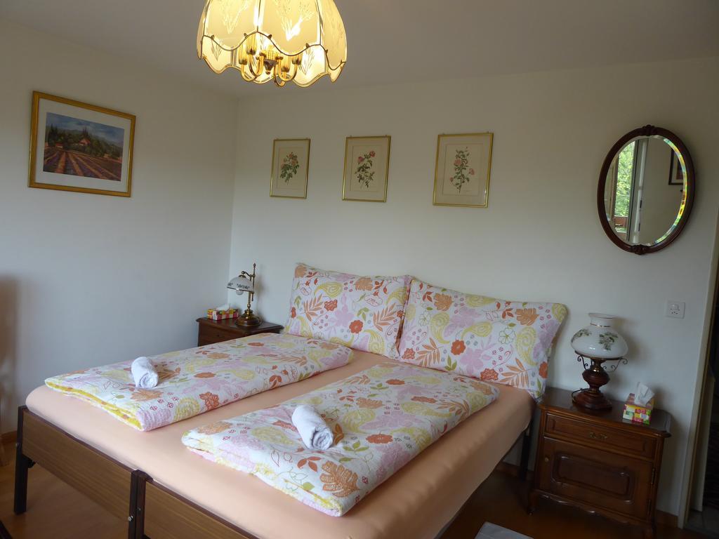 B&B Pappelweg - 2 Muttenz Zewnętrze zdjęcie
