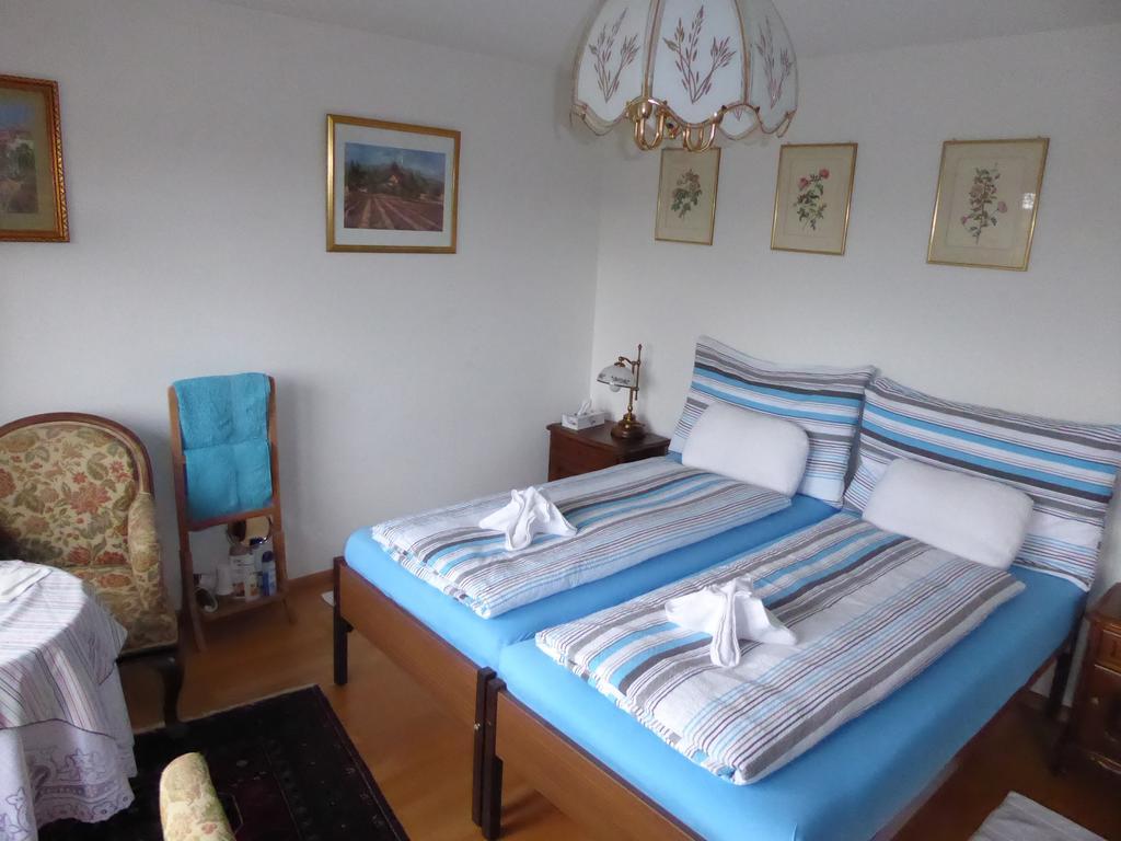 B&B Pappelweg - 2 Muttenz Zewnętrze zdjęcie