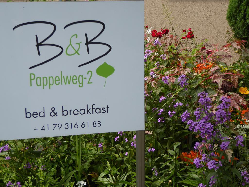 B&B Pappelweg - 2 Muttenz Zewnętrze zdjęcie