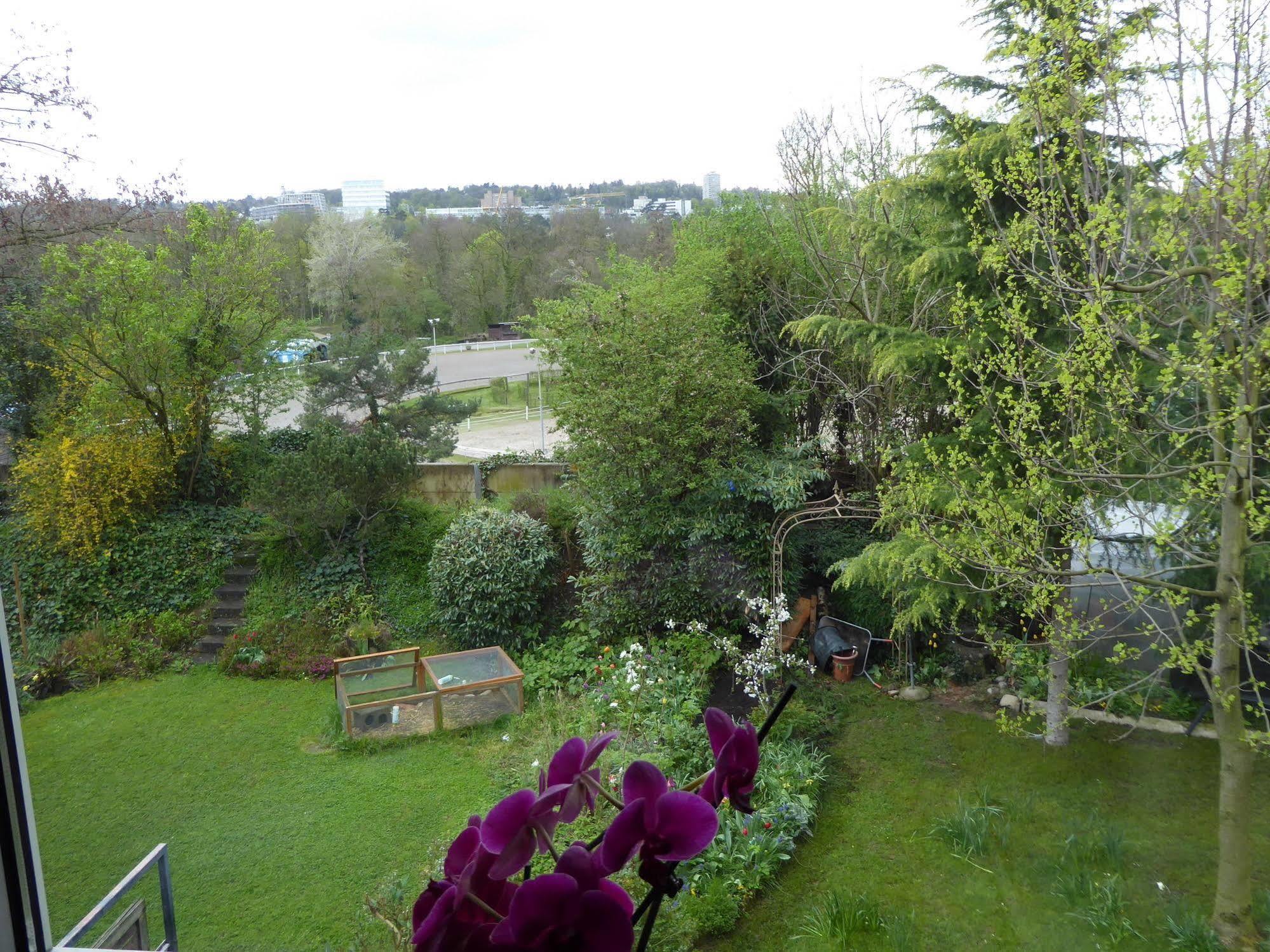 B&B Pappelweg - 2 Muttenz Zewnętrze zdjęcie